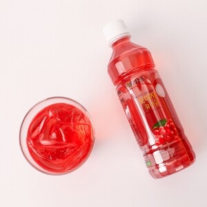 청강원 오미자유산균 솔잎차 340ml 10병/20병